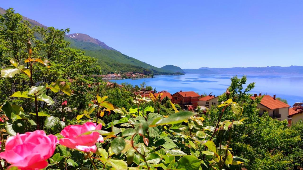 Villa Forest Paradise Ohrid Eksteriør billede