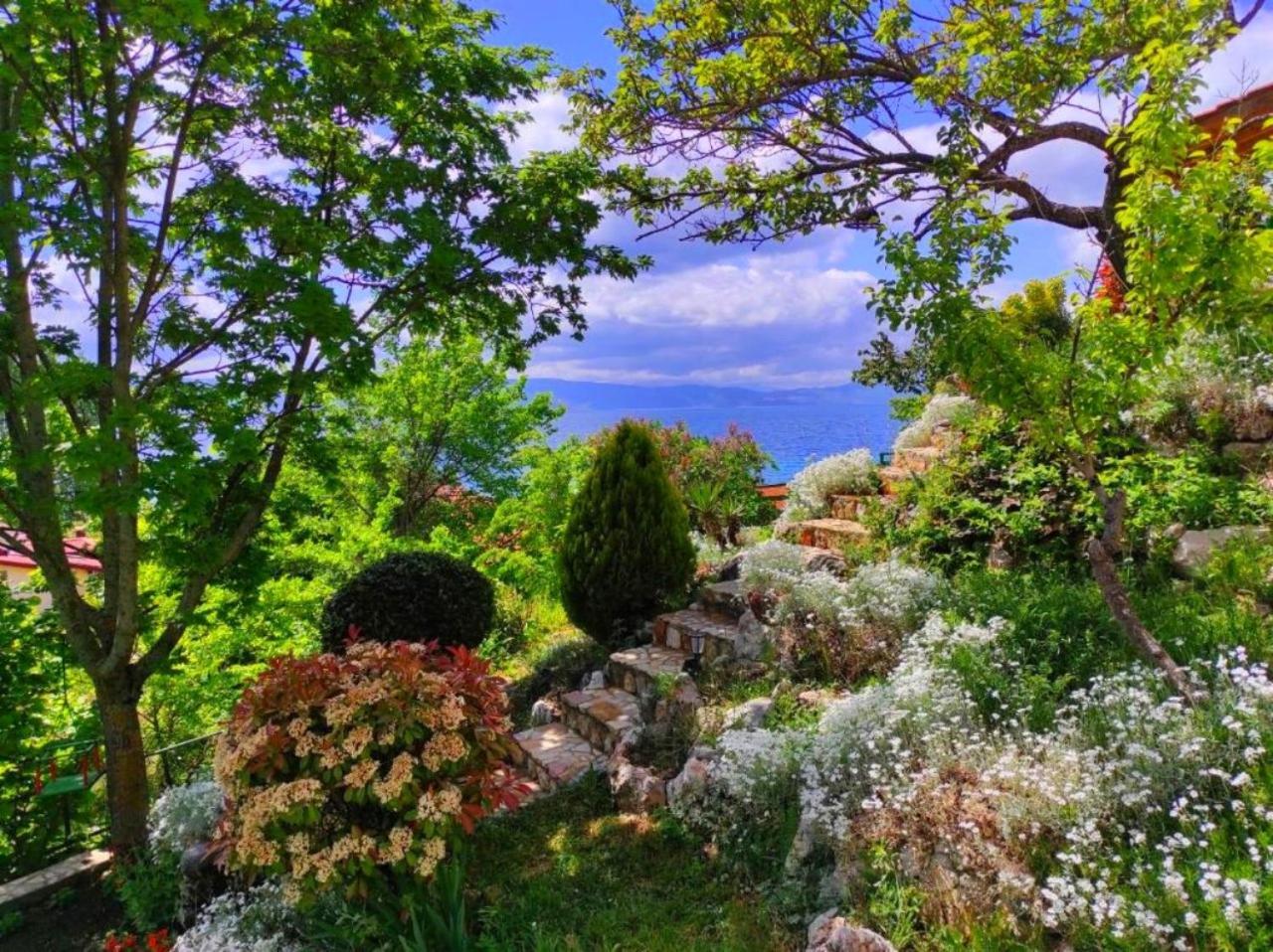 Villa Forest Paradise Ohrid Eksteriør billede