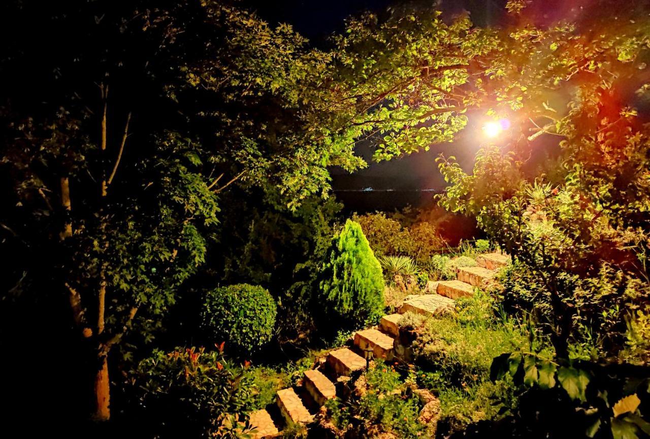 Villa Forest Paradise Ohrid Eksteriør billede