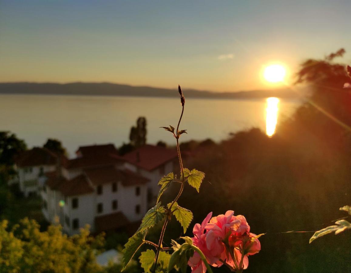 Villa Forest Paradise Ohrid Eksteriør billede