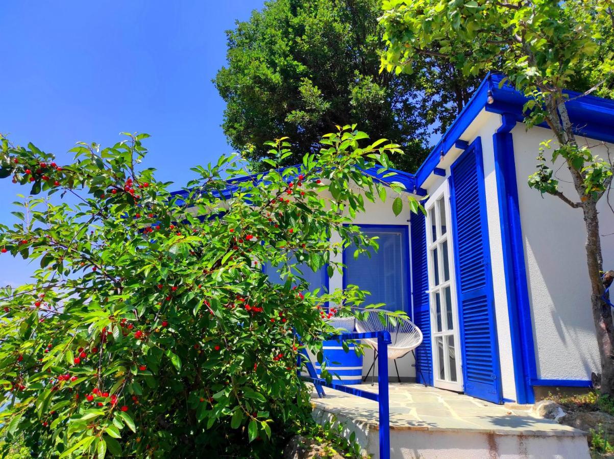 Villa Forest Paradise Ohrid Eksteriør billede