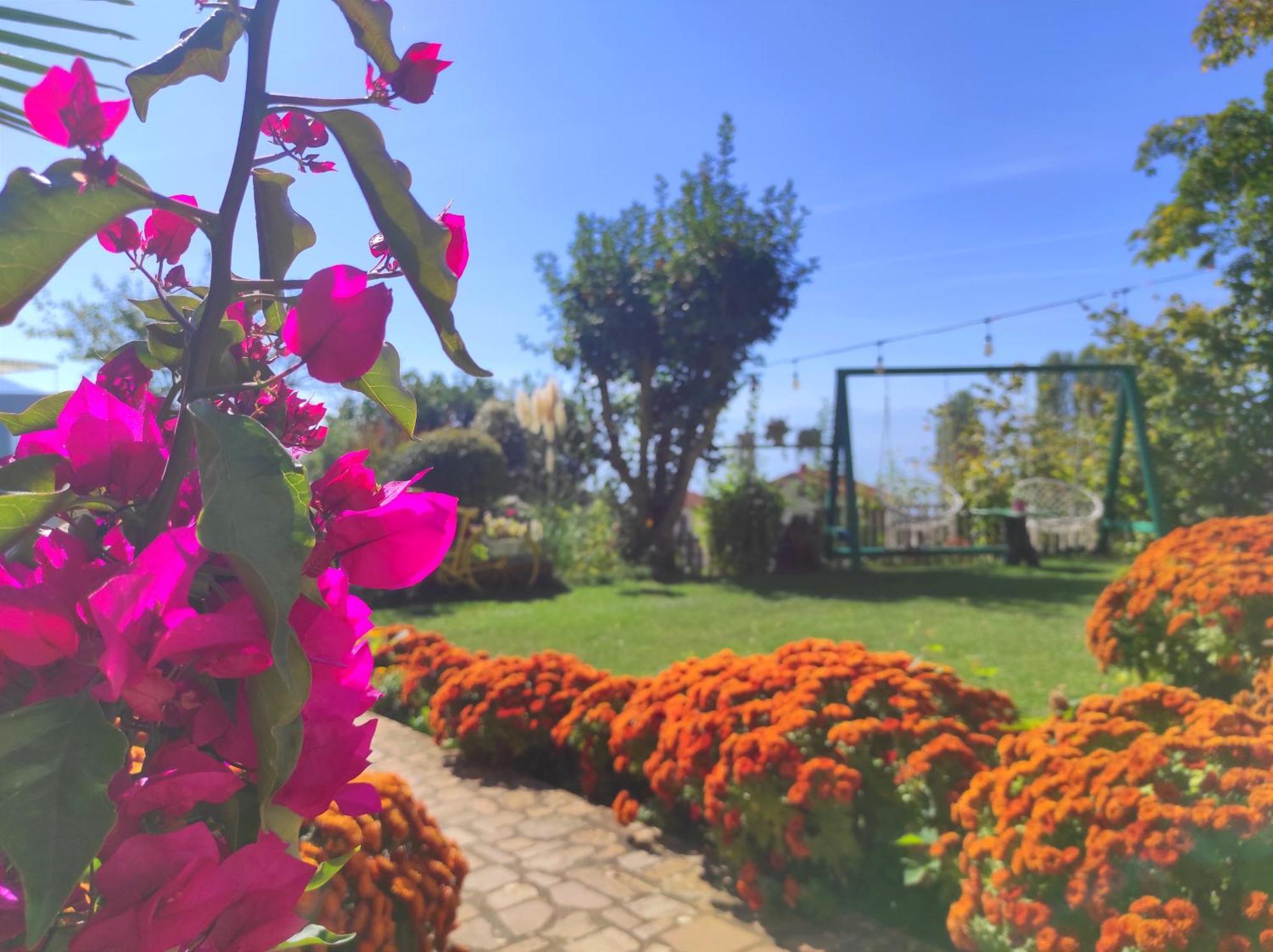 Villa Forest Paradise Ohrid Eksteriør billede