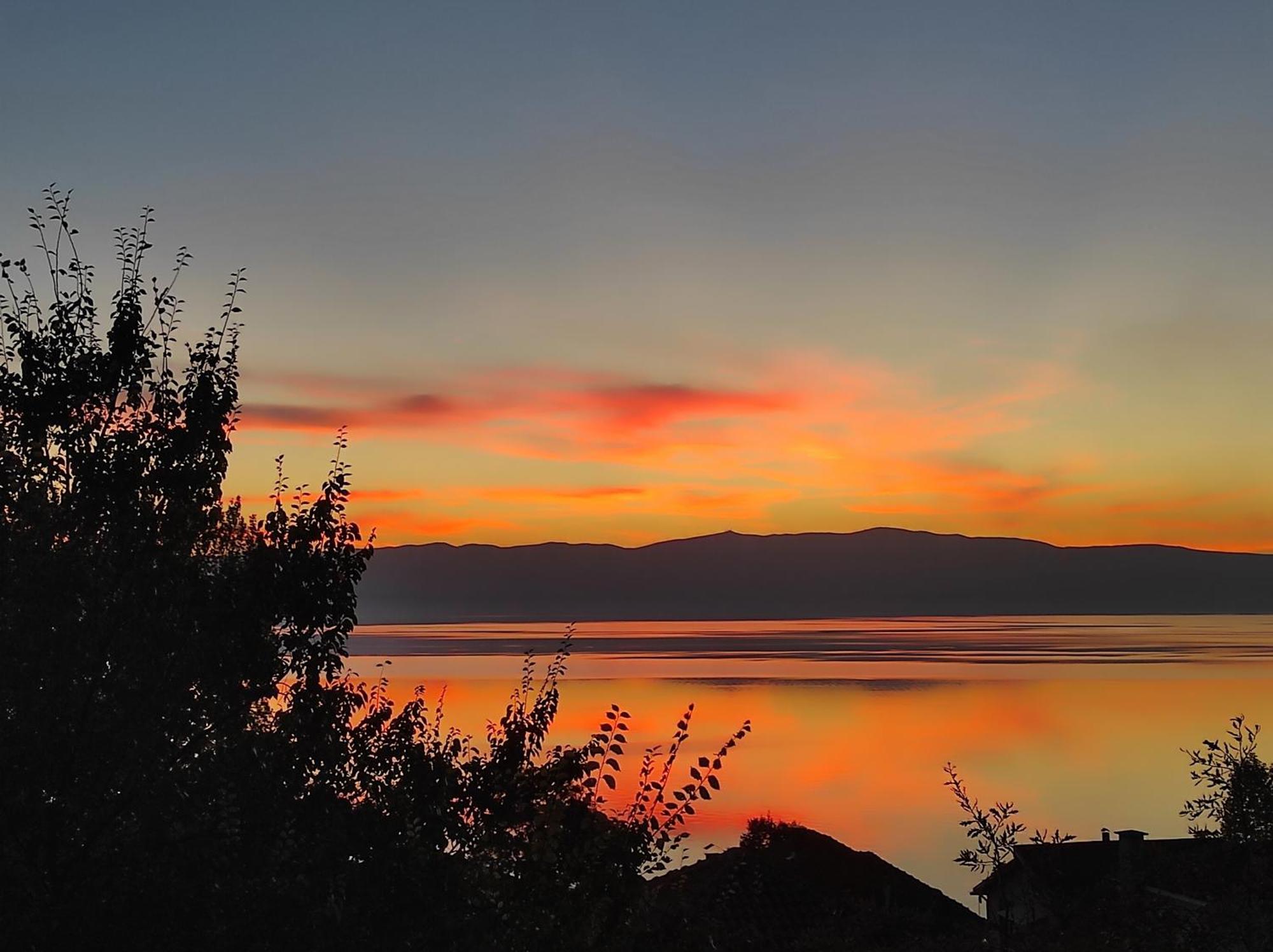 Villa Forest Paradise Ohrid Eksteriør billede