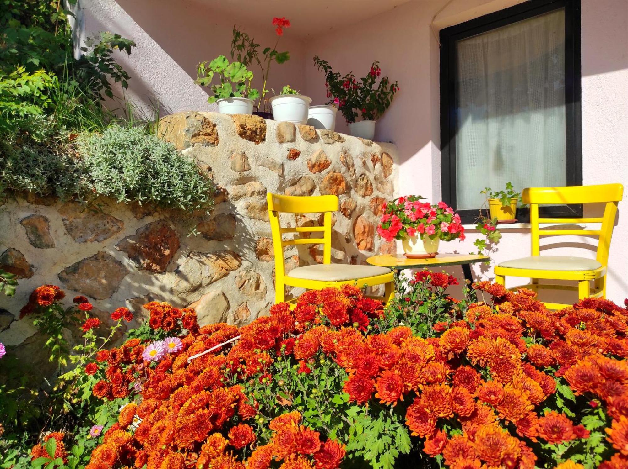 Villa Forest Paradise Ohrid Eksteriør billede