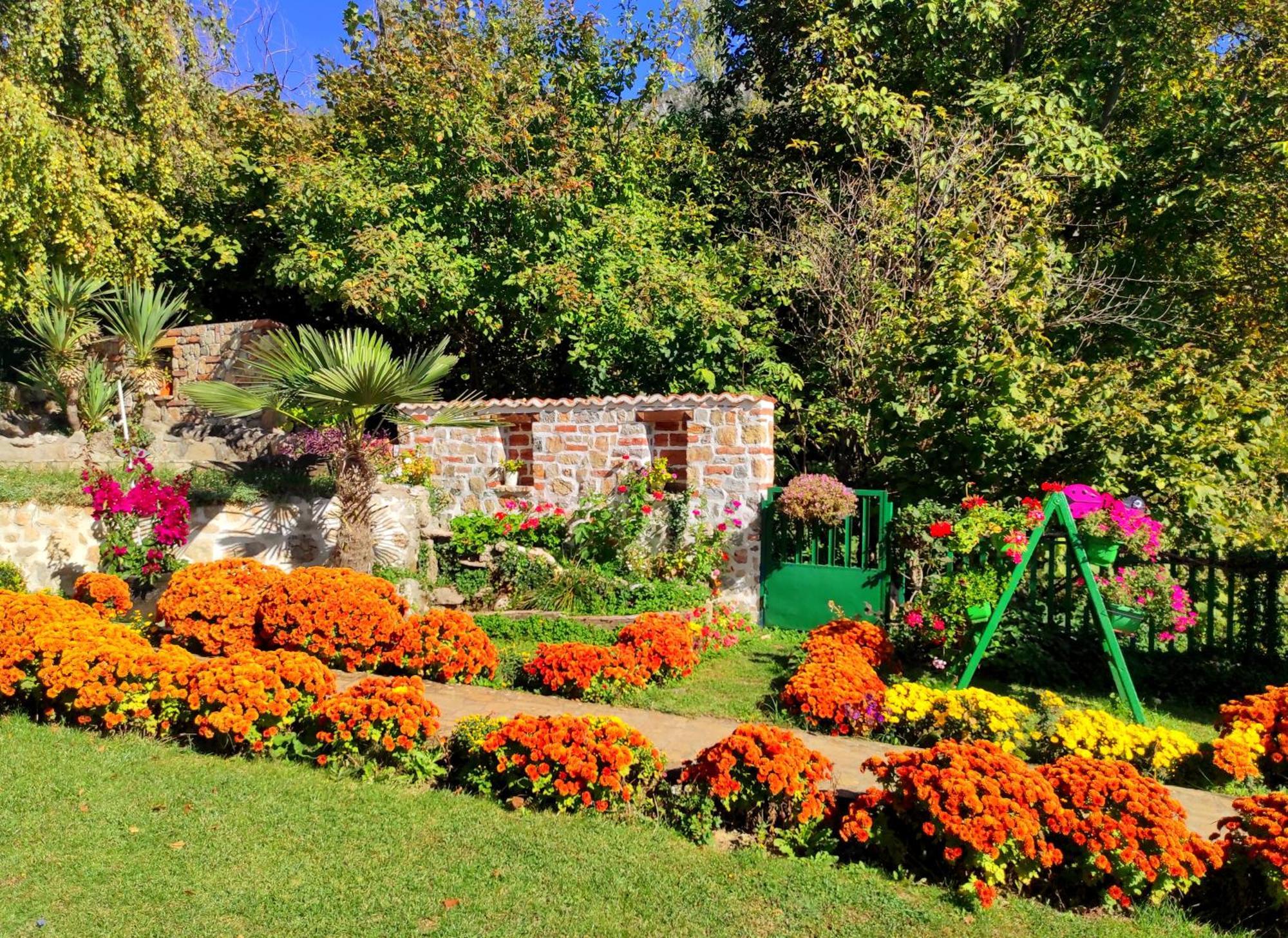 Villa Forest Paradise Ohrid Eksteriør billede