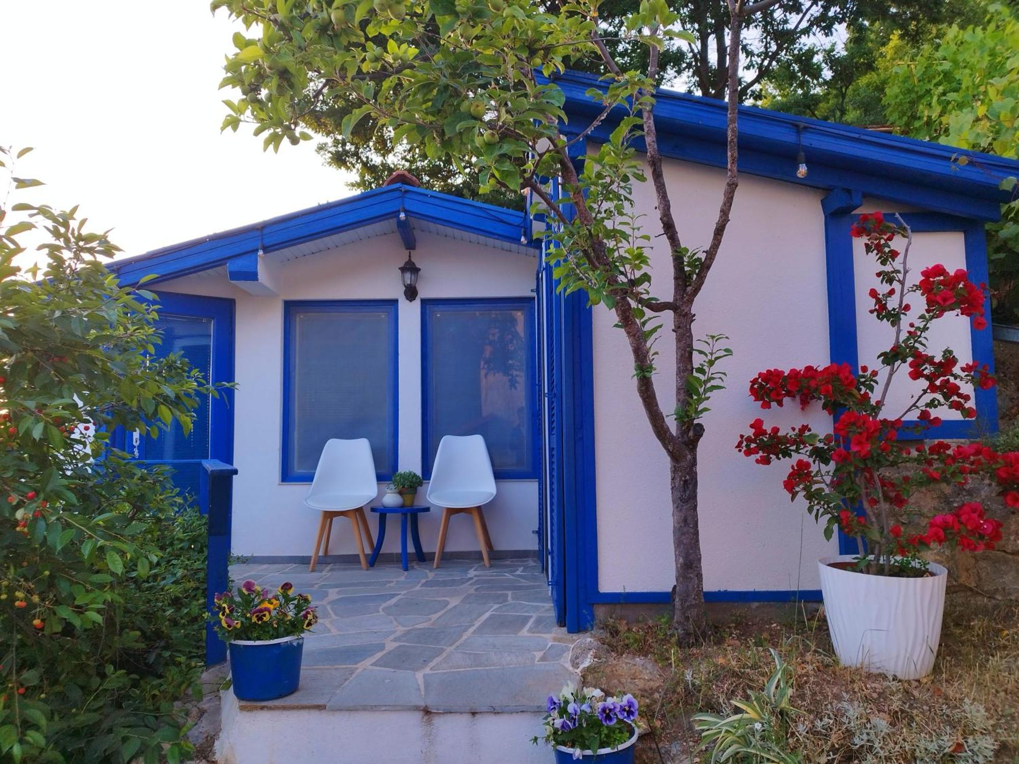 Villa Forest Paradise Ohrid Eksteriør billede